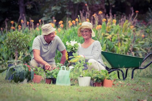 Professional hedge trimming service in Mill Hill