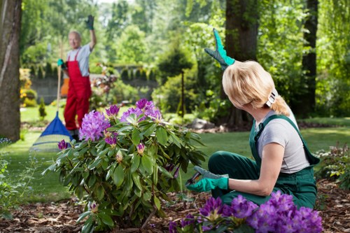 Lawn mowing equipment and tools