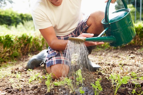 Sustainable gardening practices in a Mill Hill backyard with compost and rainwater harvesting