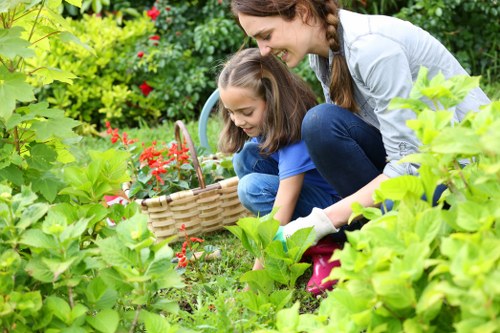 Overgrown garden being cleared by professionals in Mill Hill