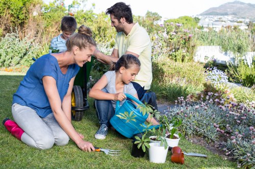 Healthy, well-maintained trees enhancing property aesthetics
