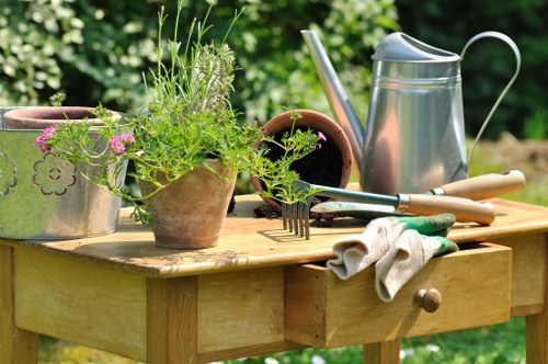 Eco-friendly decking options with sustainable materials