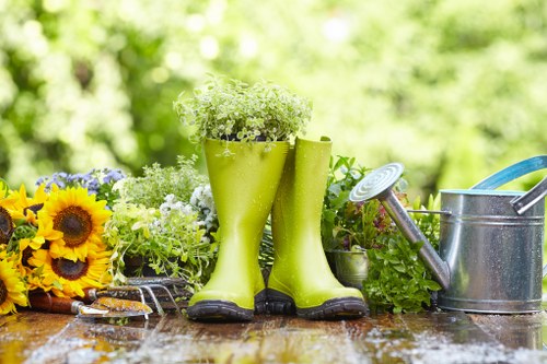 Beautiful green lawn with precise edging