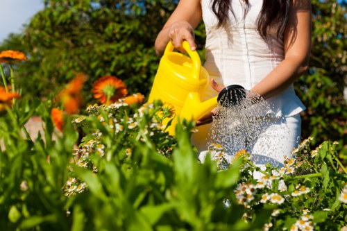 Eco-friendly pressure washing in action